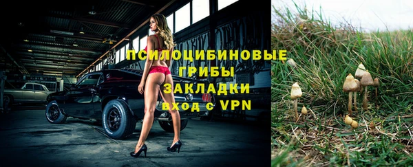 бутират Надым