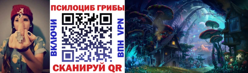 где продают   Клин  MEGA онион  Псилоцибиновые грибы MAGIC MUSHROOMS 