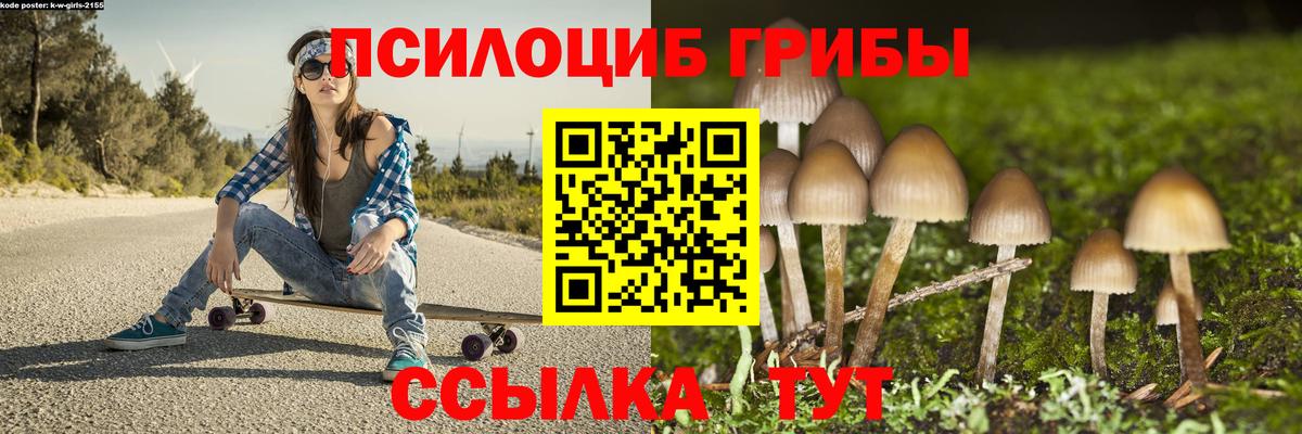 Галлюциногенные грибы MAGIC MUSHROOMS Клин