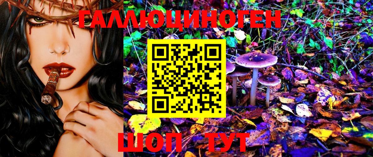 Псилоцибиновые грибы Psilocybine cubensis  Вход с VPN  Клин 